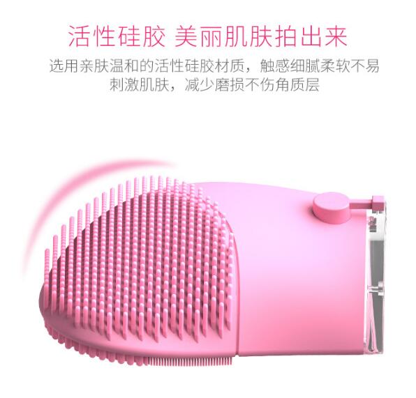 潔面儀
